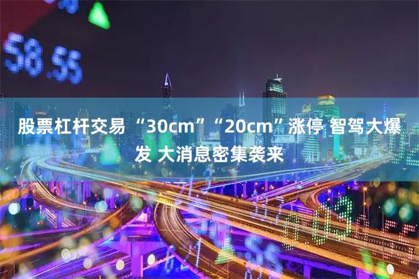股票杠杆交易 “30cm”“20cm”涨停 智驾大爆发 大消息密集袭来