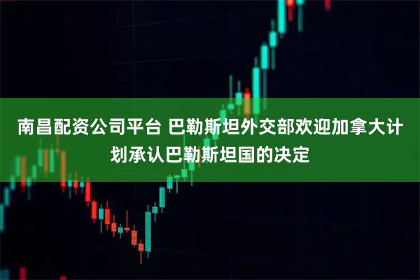 南昌配资公司平台 巴勒斯坦外交部欢迎加拿大计划承认巴勒斯坦国的决定