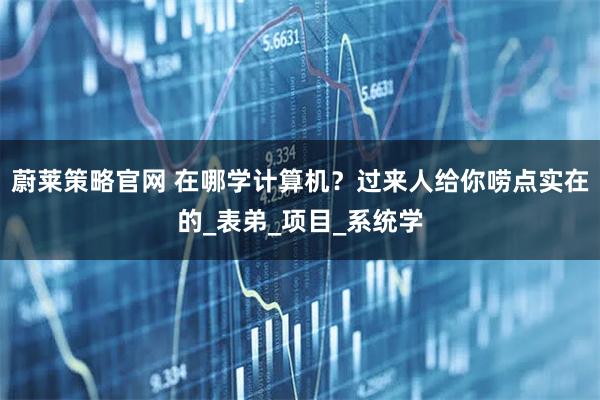 蔚莱策略官网 在哪学计算机？过来人给你唠点实在的_表弟_项目_系统学