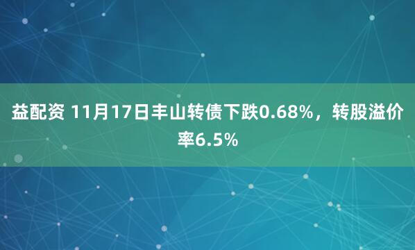 益配资 11月17日丰山转债下跌0.68%，转股溢价率6.5%